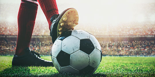 Online Trainings